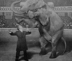 harry houdini performing his "the disappearing elephant" trick